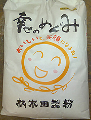 うどんの原材料：北海道産「キタホナミ」
